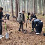 Dzielni młodzi ludzie posadzili około 100 sadzonek młodych buków