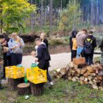Dzielni młodzi ludzie posadzili około 100 sadzonek młodych buków