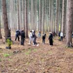 Dzielni młodzi ludzie posadzili około 100 sadzonek młodych buków