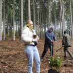 Dzielni młodzi ludzie posadzili około 100 sadzonek młodych buków