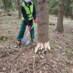 Kolejny kurs pilarz-drwal z "Międzypowiatowej drogi do edukacyjnego sukcesu szkół zawodowych powiatów dzierżoniowskiego, kłodzkiego i świdnickiego"