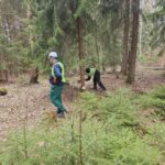 Kolejny kurs pilarz-drwal z "Międzypowiatowej drogi do edukacyjnego sukcesu szkół zawodowych powiatów dzierżoniowskiego, kłodzkiego i świdnickiego"