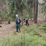 Kolejny kurs pilarz-drwal z "Międzypowiatowej drogi do edukacyjnego sukcesu szkół zawodowych powiatów dzierżoniowskiego, kłodzkiego i świdnickiego"